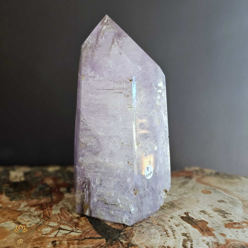 Extra Large Amethyst With Enhydro