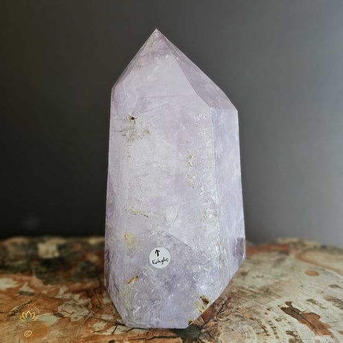 Extra Large Amethyst With Enhydro