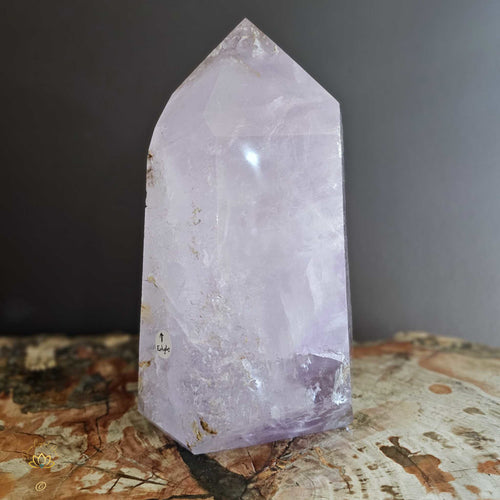 Extra Large Amethyst With Enhydro