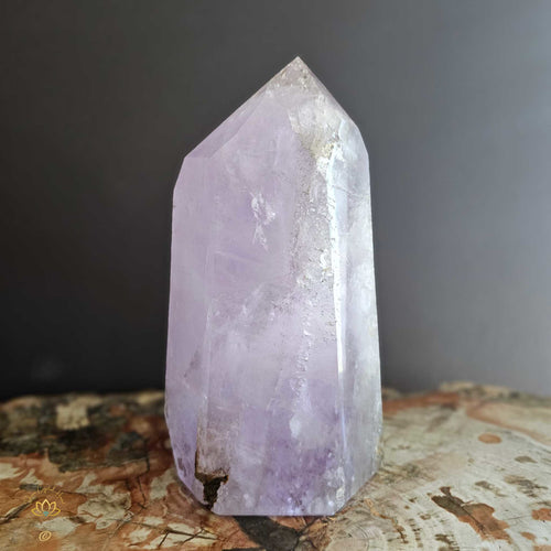 Extra Large Amethyst With Enhydro