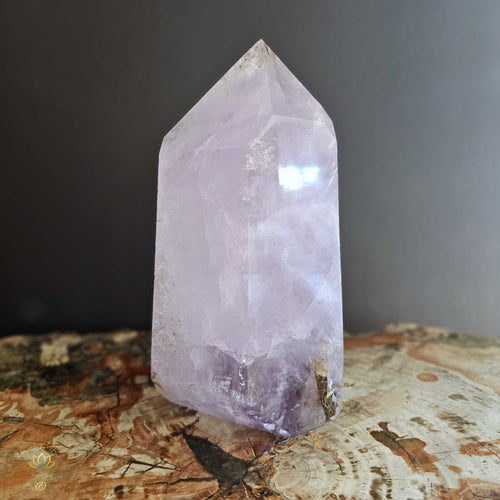 Extra Large Amethyst With Enhydro