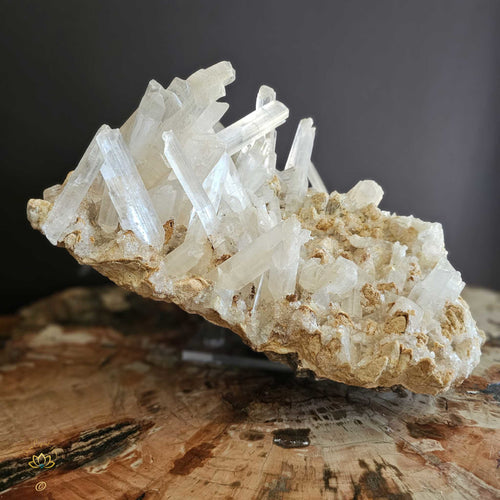 Extra Large Selenite On Matrix Specimen