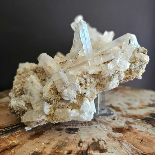 Extra Large Selenite On Matrix Specimen