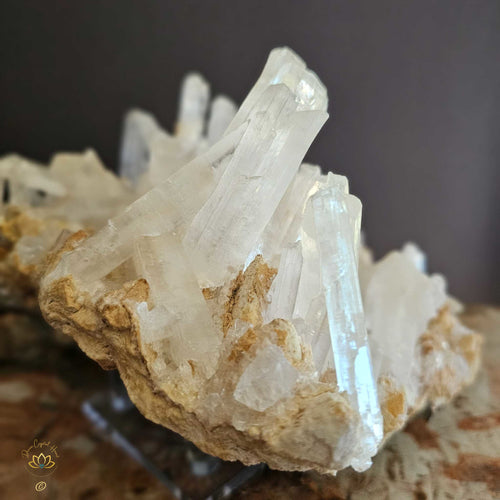 Extra Large Selenite On Matrix Specimen