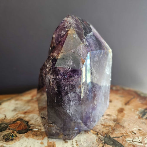 Extra Large Smoky Amethyst With Multiple Enhydros