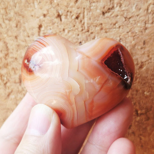 Fire Horse Energy Kit | Controlled Flame