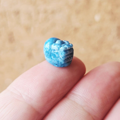 Fire Horse Energy Kit | Power Set