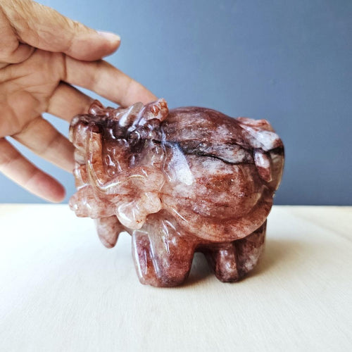 Fire Quartz Dragon Turtle | Ember Guardian
