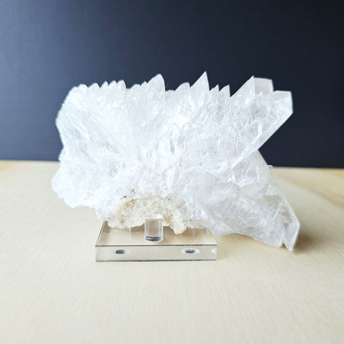 Fishtail Selenite Specimen | Naica's Guardian Of The Deep