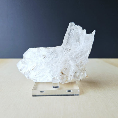 Fishtail Selenite Specimen | The Crystal Sea Corridor