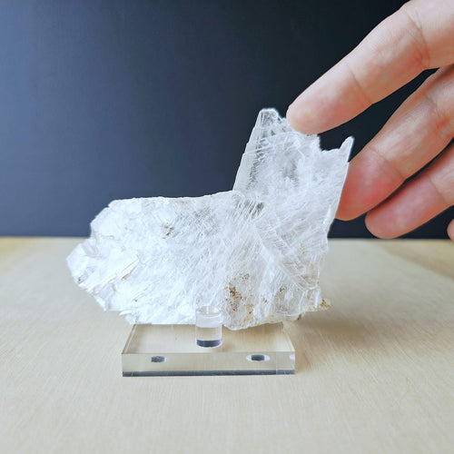 Fishtail Selenite Specimen | The Crystal Sea Corridor
