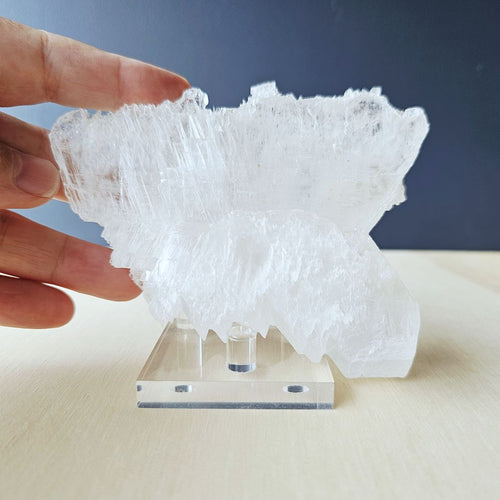 Fishtail Selenite Specimen | The Great Calm