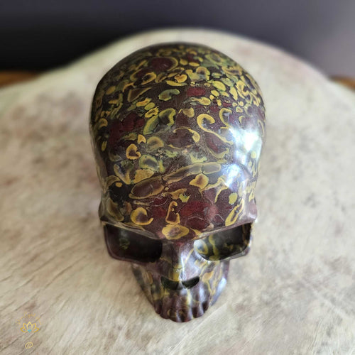 Fruit Jasper (Silurian Limestone) Skull