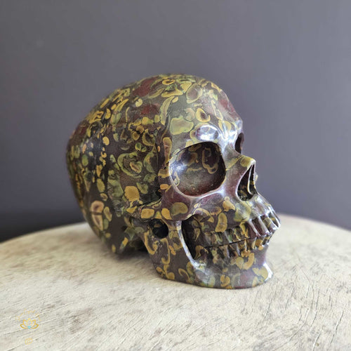Fruit Jasper (Silurian Limestone) Skull