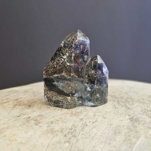 Garden Inclusion Quartz | Twin Point 113gms