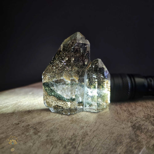 Garden Inclusion Quartz | Twin Point 113gms