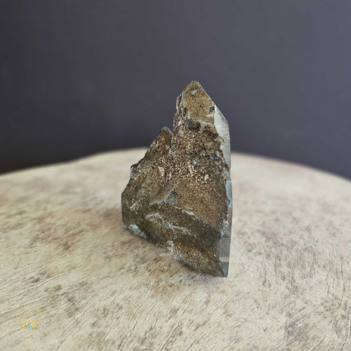 Garden Inclusion Quartz | Twin Point 113gms