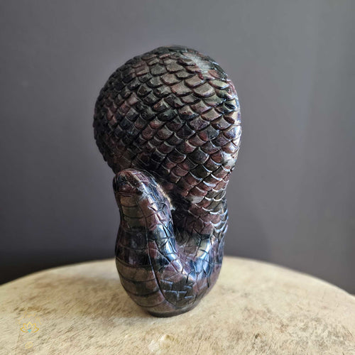 Garnet & Arfvedsonite Cobra Skull | Metamorphosis