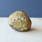 Gobi Desert Agate Large | Ancient Eyes