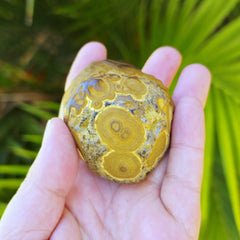 Gobi Desert Agate Large | Ancient Eyes