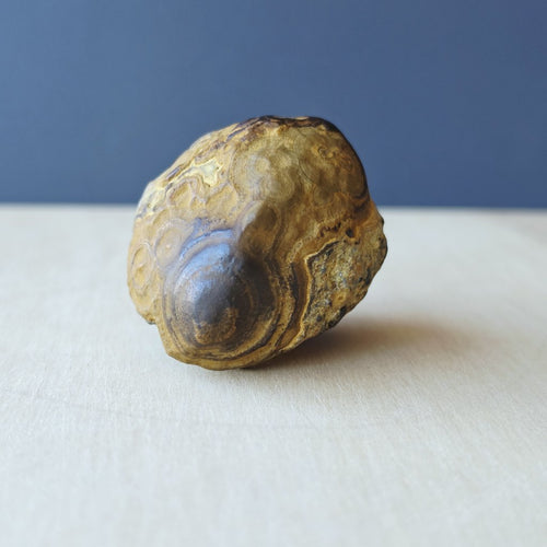 Gobi Desert Agate Large | Ancient Eyes