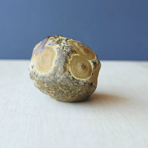 Gobi Desert Agate Large | Ancient Eyes