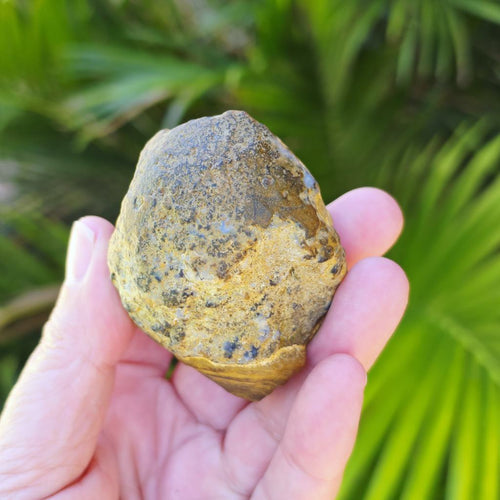 Gobi Desert Agate Large | Ancient Eyes