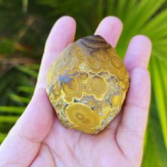 Gobi Desert Agate Large | Ancient Eyes