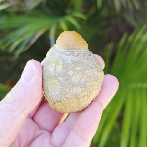 Gobi Desert Agate Large | Desert Eyes