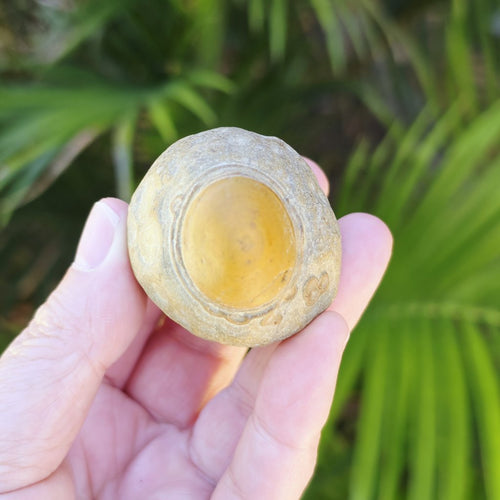 Gobi Desert Agate Large | Desert Eyes