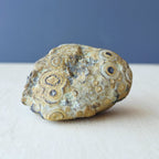 Gobi Desert Agate Large | Many Faces