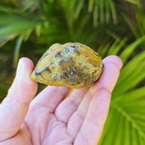 Gobi Desert Agate Large | Many Faces