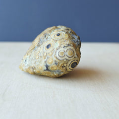 Gobi Desert Agate Large | Many Faces