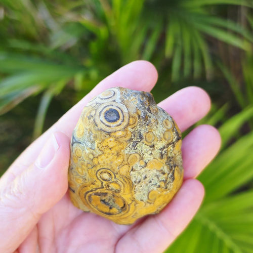 Gobi Desert Agate Large | Many Faces