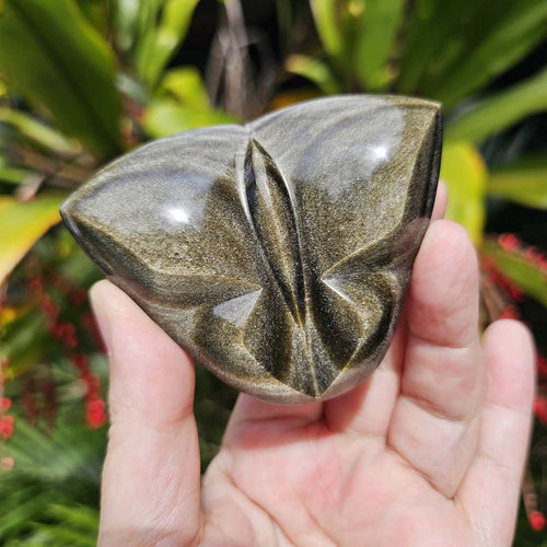 Gold Sheen Obsidian Butterfly | Wings Of The Eclipse