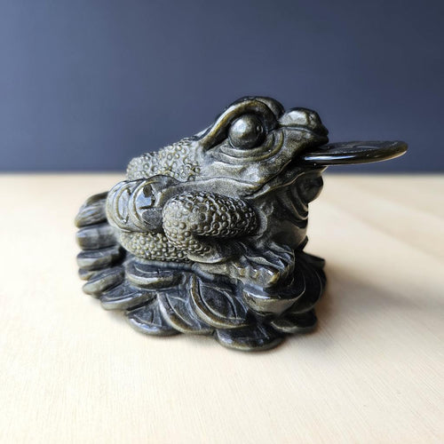 Gold Sheen Obsidian Money Toad | Midnight Fortune