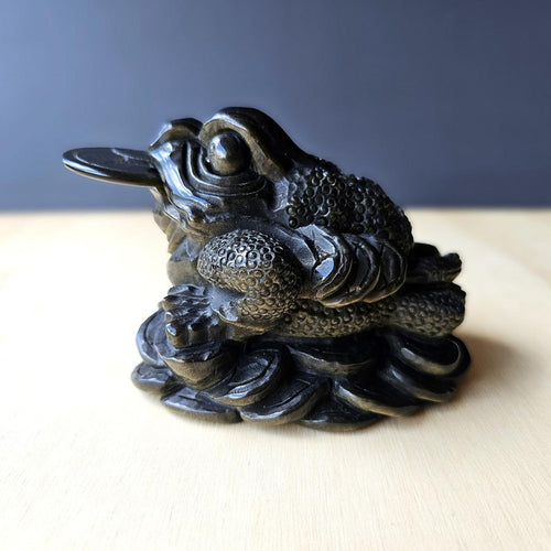 Gold Sheen Obsidian Money Toad | Midnight Fortune