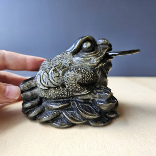 Gold Sheen Obsidian Money Toad | Midnight Fortune