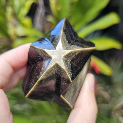 Gold Sheen Obsidian Star | Eclipse Star