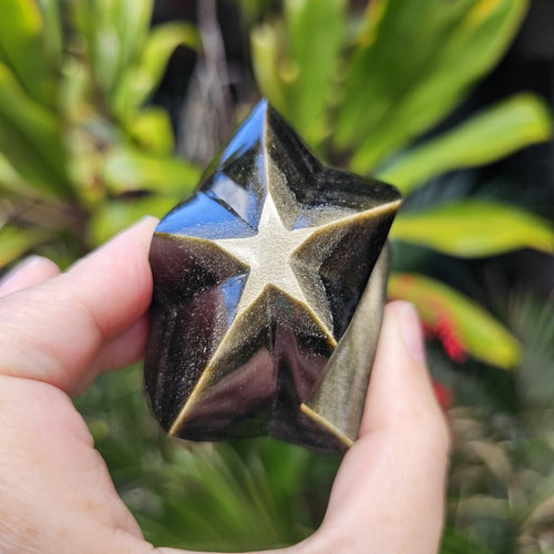 Gold Sheen Obsidian Star | Eclipse Star