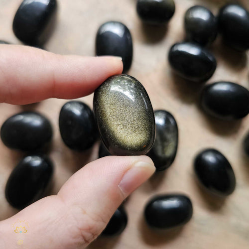 Gold Sheen Obsidian | Tumbled Stones