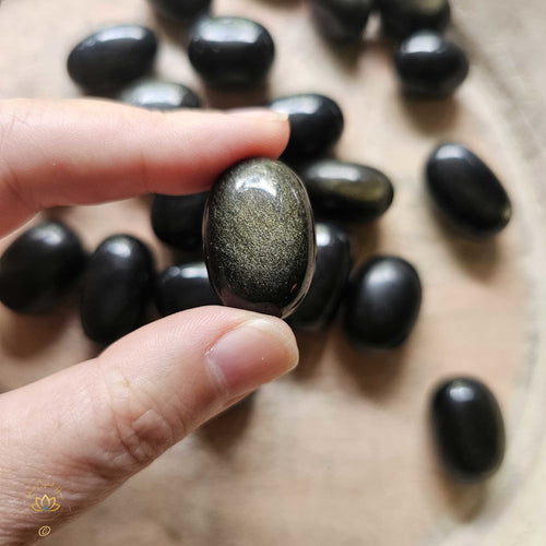 Gold Sheen Obsidian | Tumbled Stones