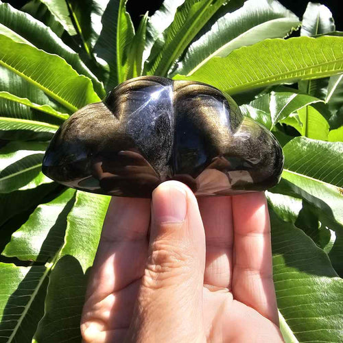 Gold Sheen Obsidian | Twin Heart 136gms