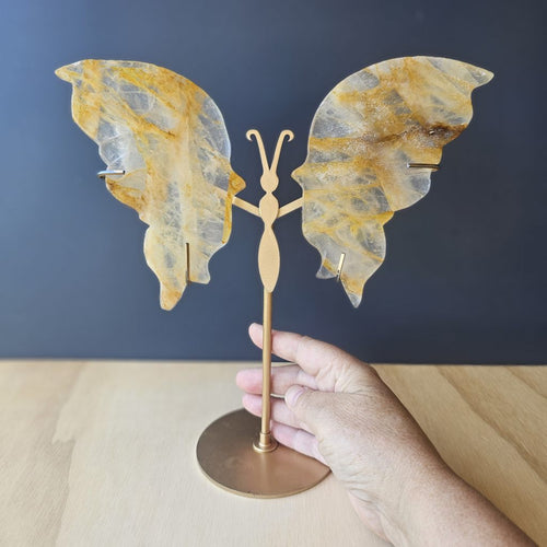 Golden Healer Butterfly Wings | Expanded Transformation