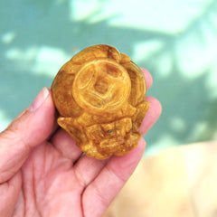 Golden Healer Dragon Turtle | Guardian Of Prosperity