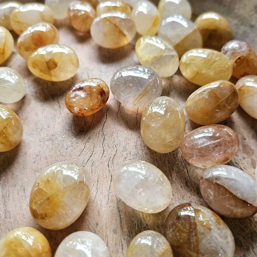 Golden Healer Tumbled Stones