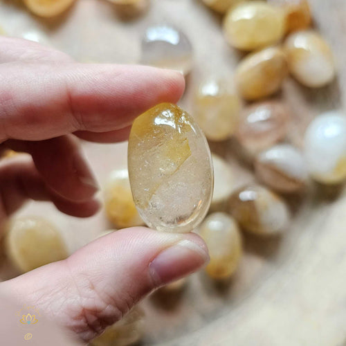 Golden Healer Tumbled Stones