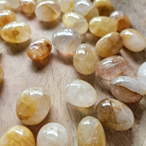 Golden Healer Tumbled Stones