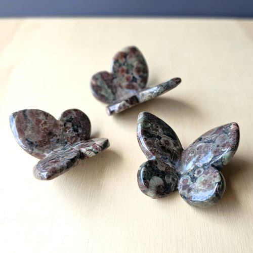 Green Cherry Jasper Butterfly |  Nature's Winged Guardian