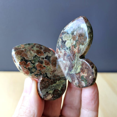 Green Cherry Jasper Butterfly |  Nature's Winged Guardian